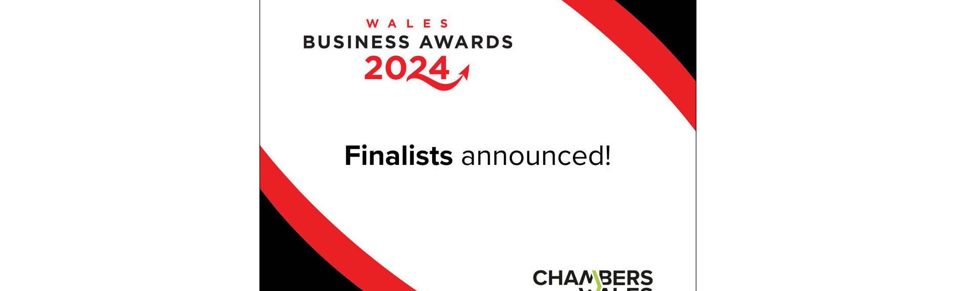 Peter Jones Finalist in Wales Business Awards 2024